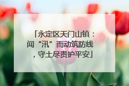 永定区天门山镇：闻“汛”而动筑防线，守土尽责护平安